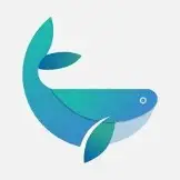 白鲸加速器 logo